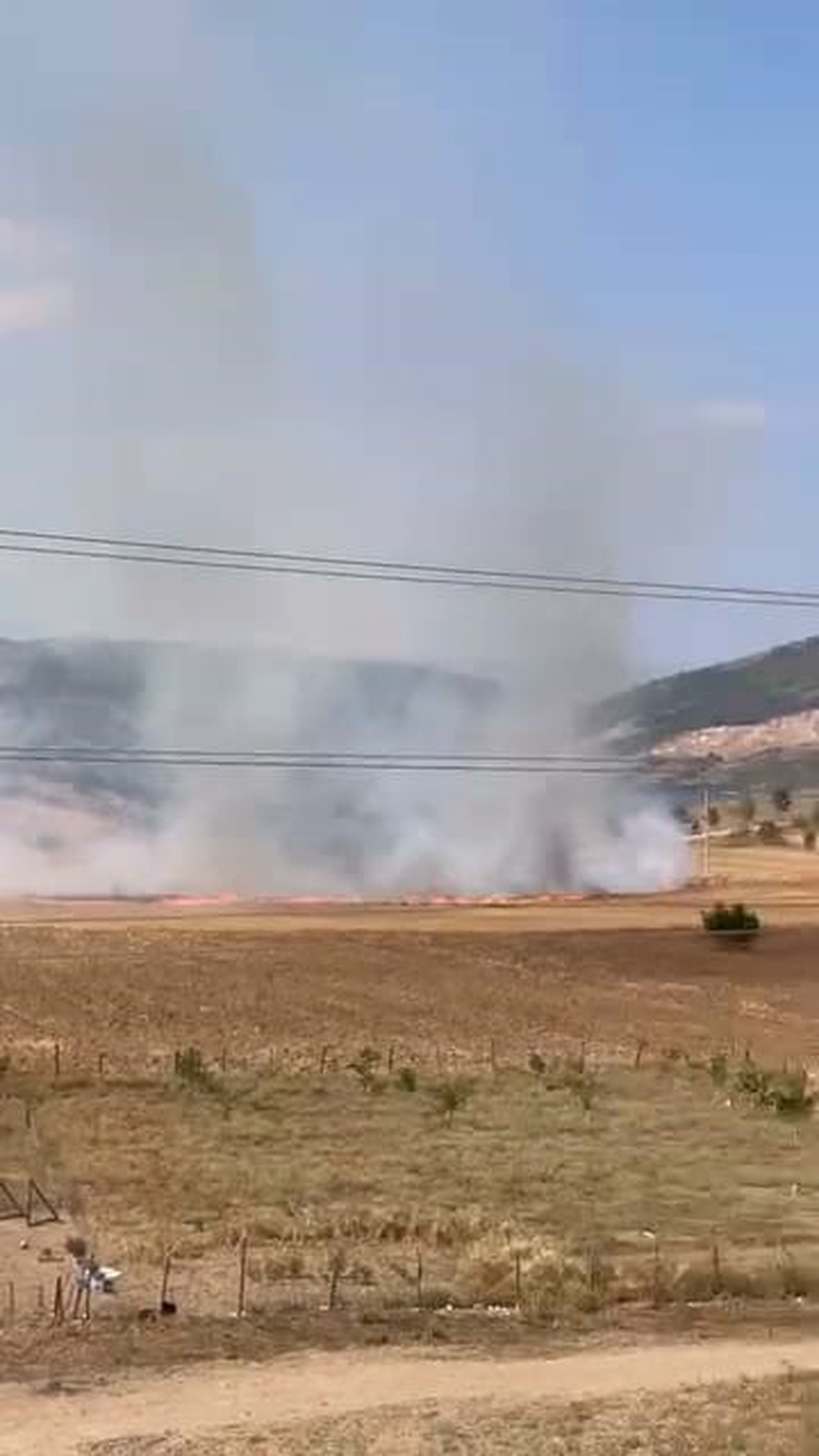 İnegöl\'de Tarla Yangını: 16 Yaşındaki Şüpheli Yakalandı
