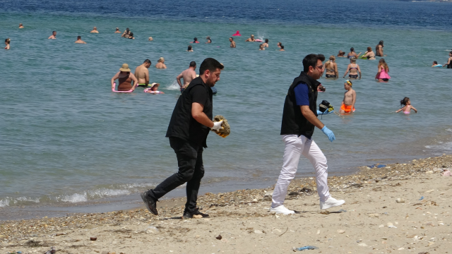 Denize giren vatandaş savaştan kalma askeri mühimmat buldu