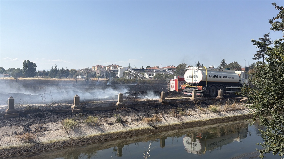 Eskişehir\'de Otluk Alanda Yangın