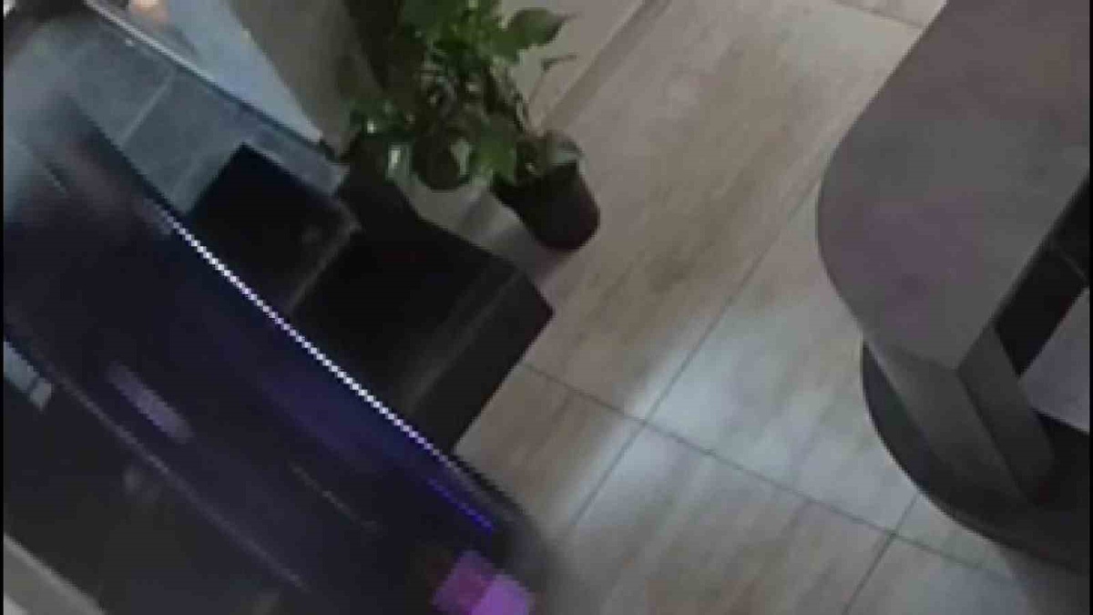 Robot Garson Merdivenden Düştü