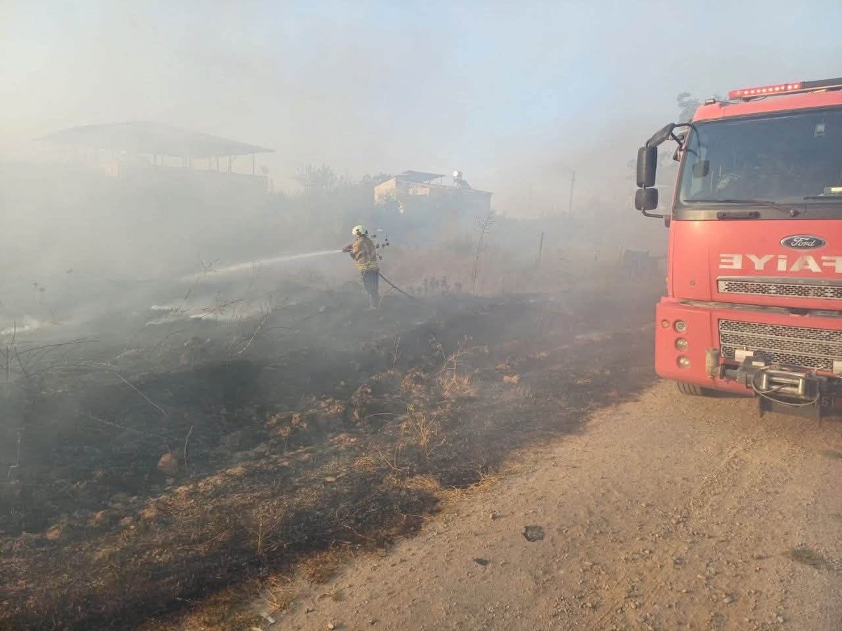 Hatay\'da zeytinlik yangını kontrol altında