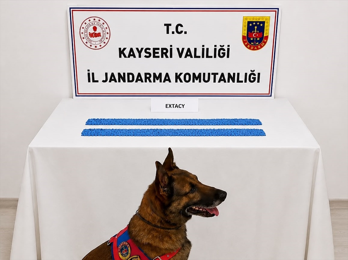Kayseri\'de 2,700 Uyuşturucu Hap Ele Geçirildi