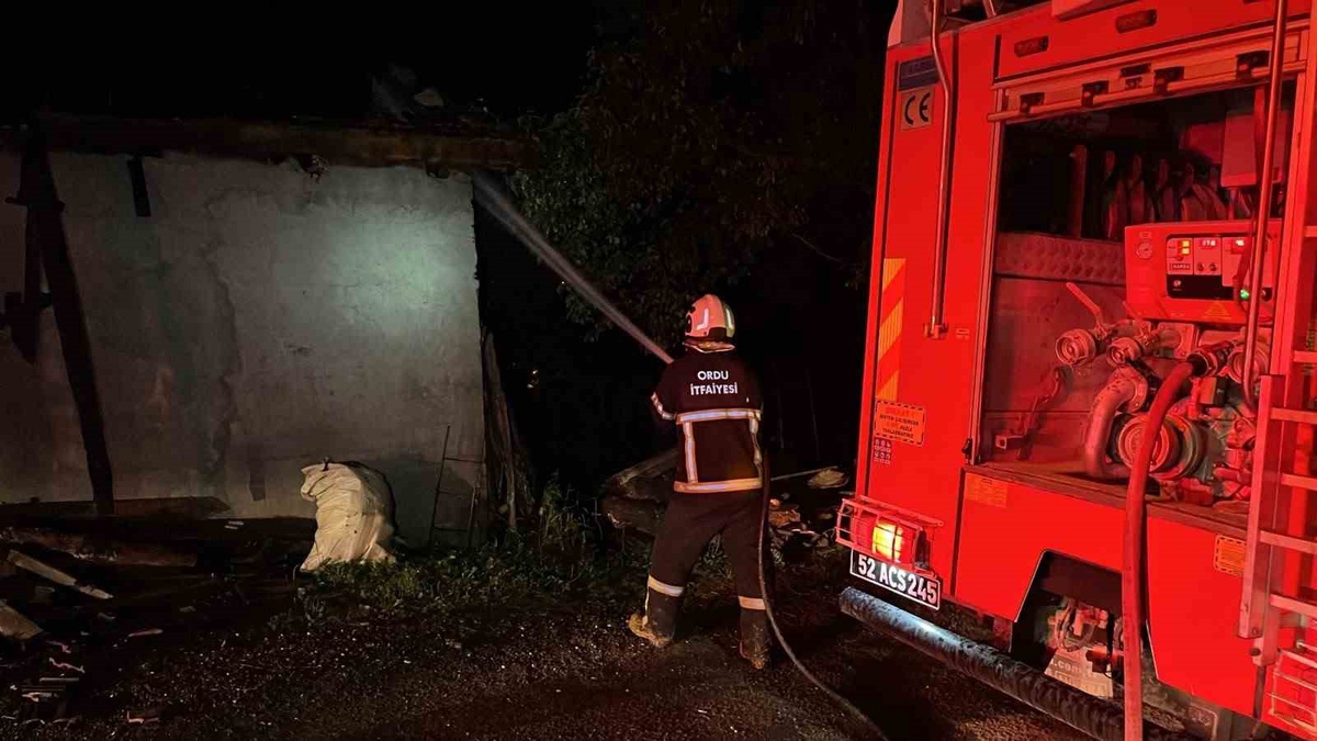 Kumru’da ahır yangını: 1 buzağı telef oldu