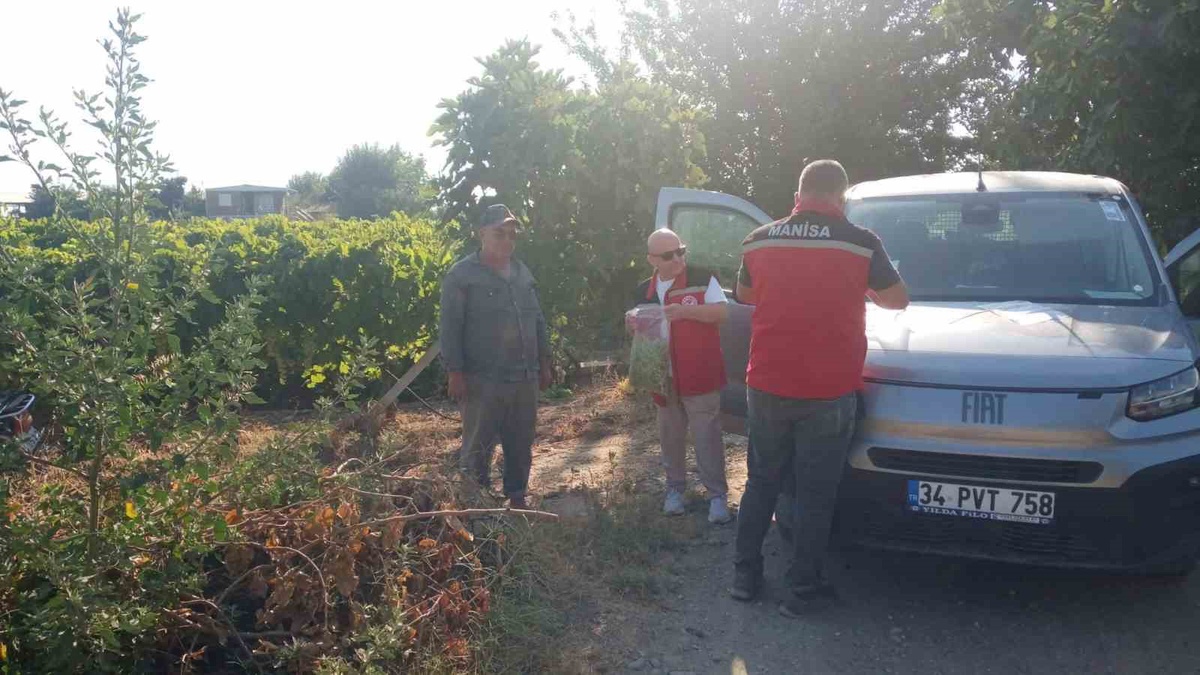 Turgutlu\'da Üzüm Hasadı Öncesi Pestisit Denetimi