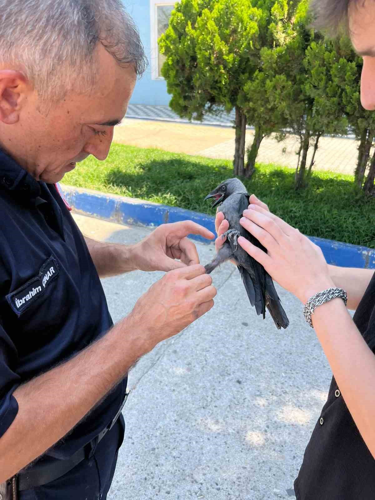 Susurluk’ta halı saha filesine takılan karga itfaiye ekiplerince kurtarıldı