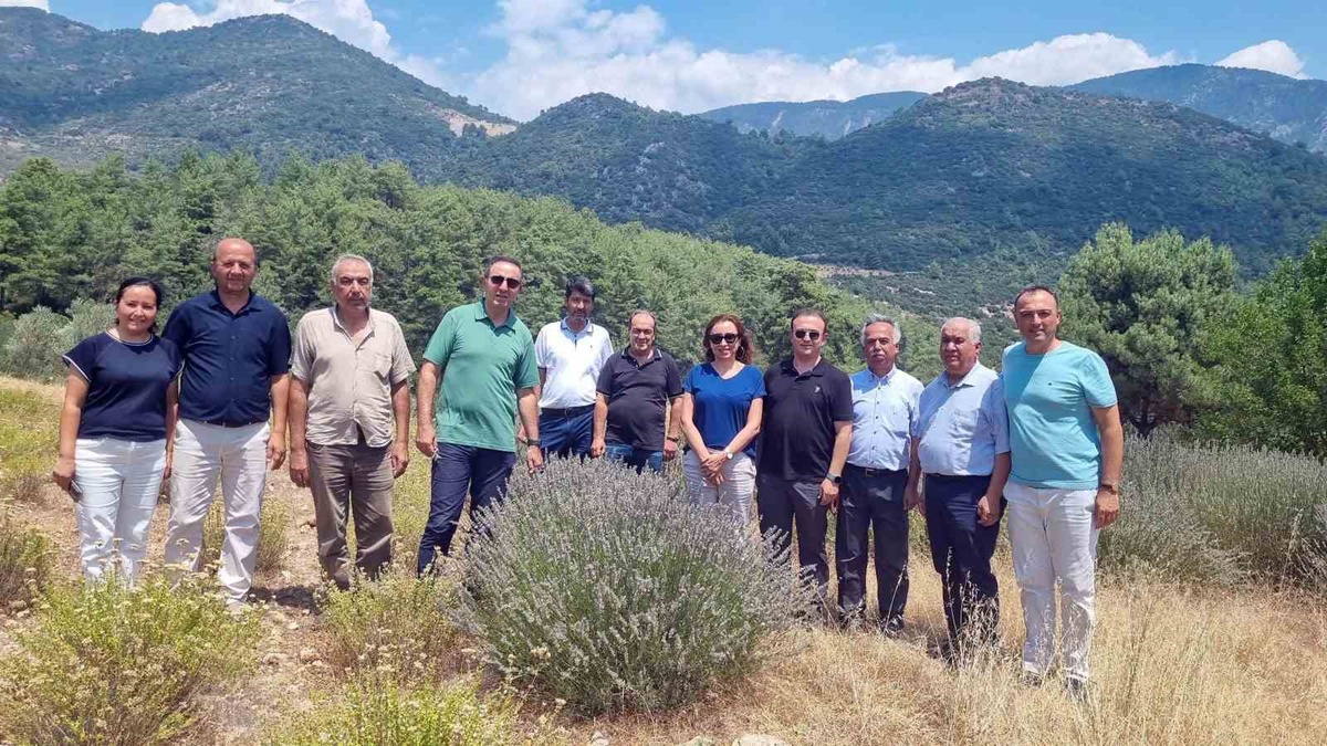 Muğla\'da Tıbbi Bitki Bahçeleri Ziyareti