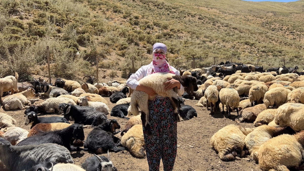 Yüksekova\'da Berivanlar Geleneği