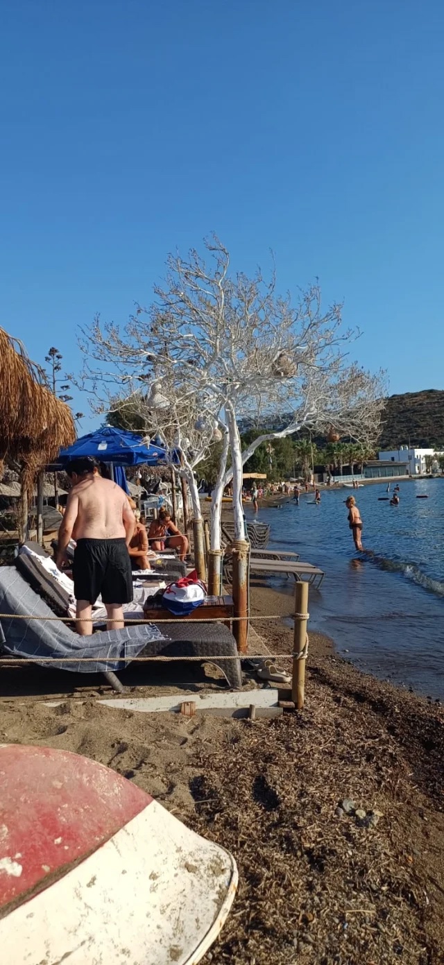 Bodrum’da vatandaşlar ayakta! Belediye Başkanı'na tepkiler çığ gibi büyüyor