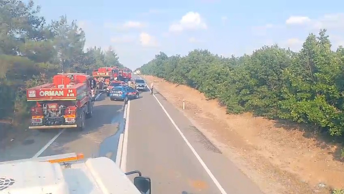 Edirne\'de Anız Yangını Ormanlık Alana Sıçradı