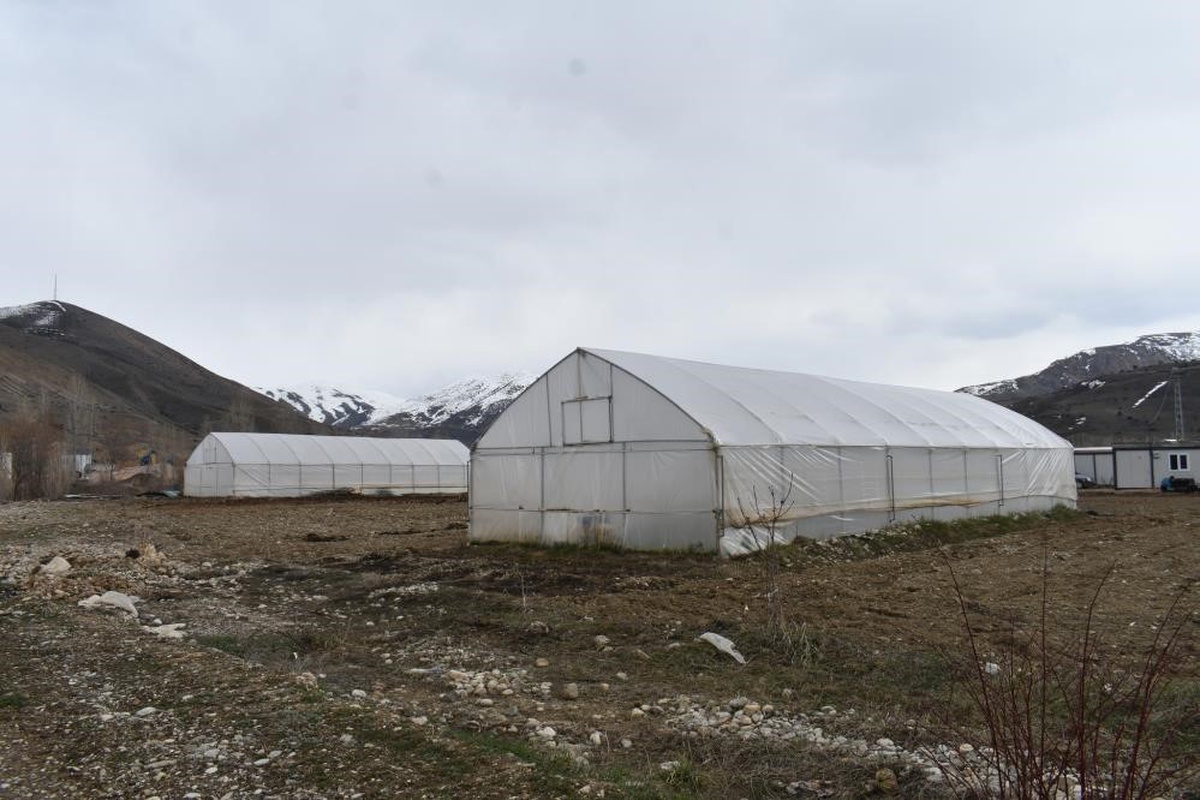 Erzincan\'da Sera Örtüsü Desteği Uzatıldı