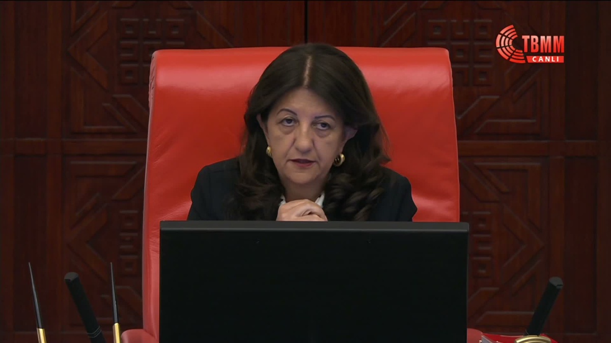Buldan: Soruşturma İfadeye Engel Olmamalı