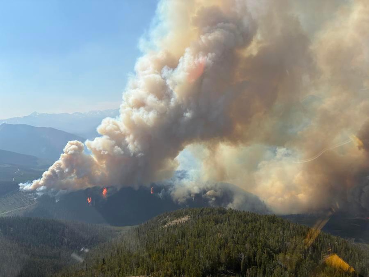 British Columbia\'da Orman Yangınları İçin Acil Durum İlanı