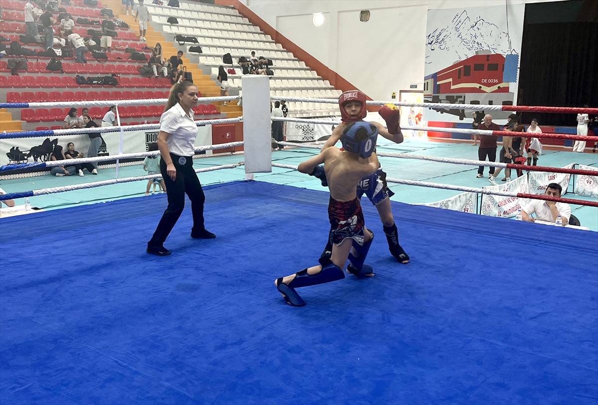 Ani\'nin Fethi İçin Kick Boks Şampiyonası