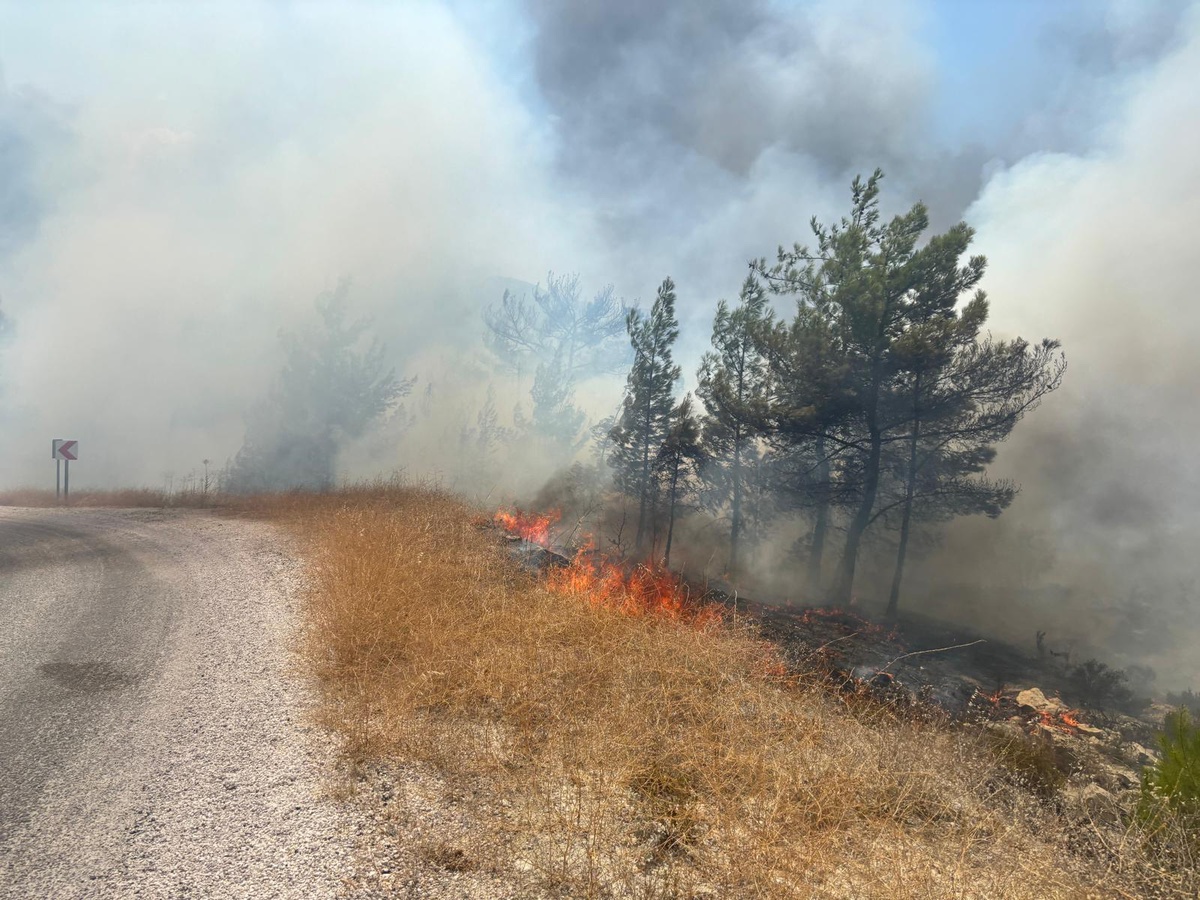 Silifke\'de zincirleme kaza: 1 ölü, 2 yaralı