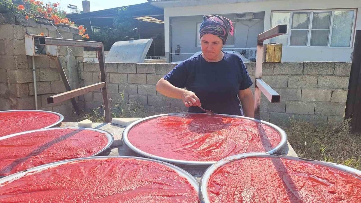 Sarıgöl\'de Salça Hazırlama Dönemi Başladı