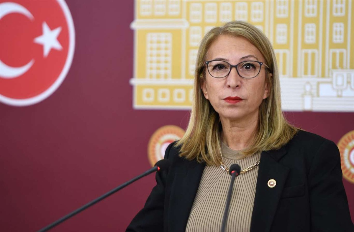 Öneş Derici Çerçeve Yasa\'ya \'Hayır\' Dedi