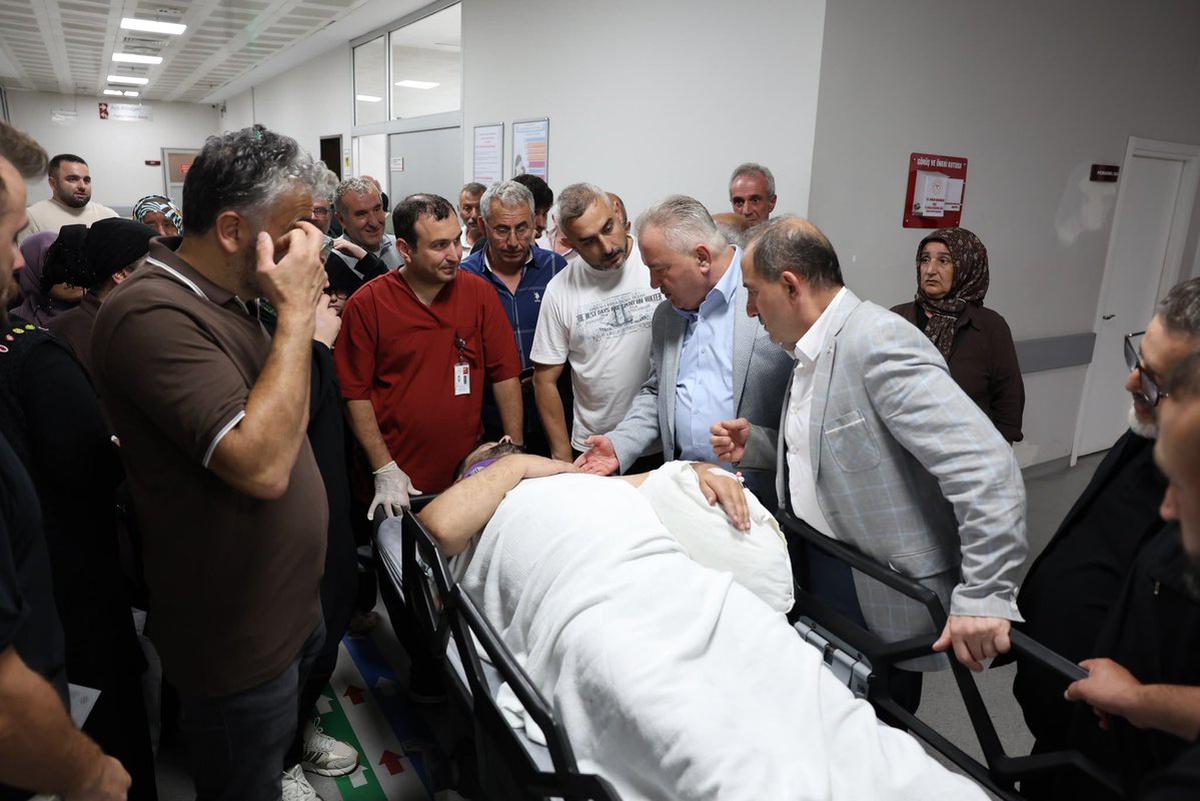 Arı kovanı bakımı yapan belediye başkanı iskeleden düşüp yaralandı
