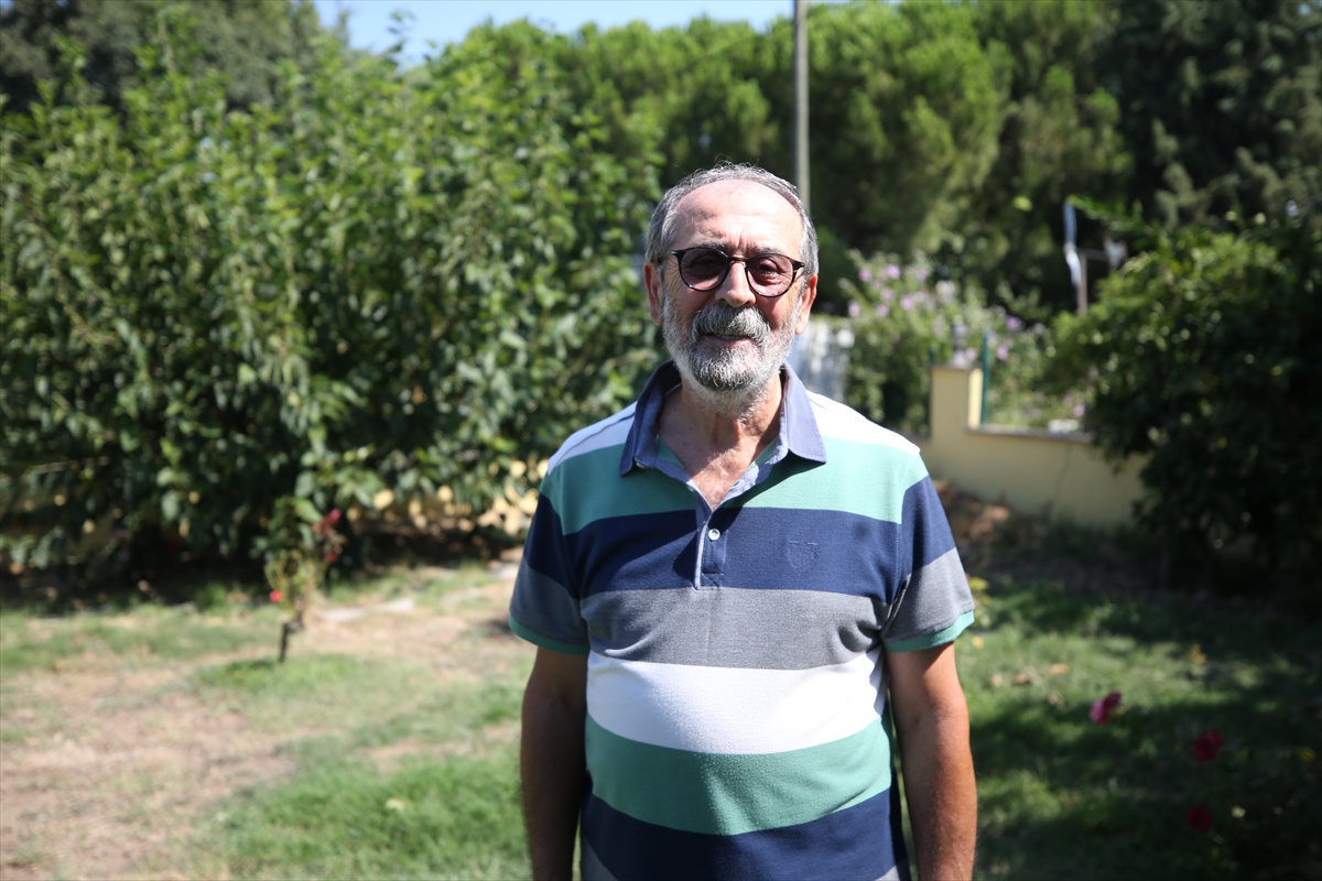 Orman Yangınlarına Önlem Önerisi