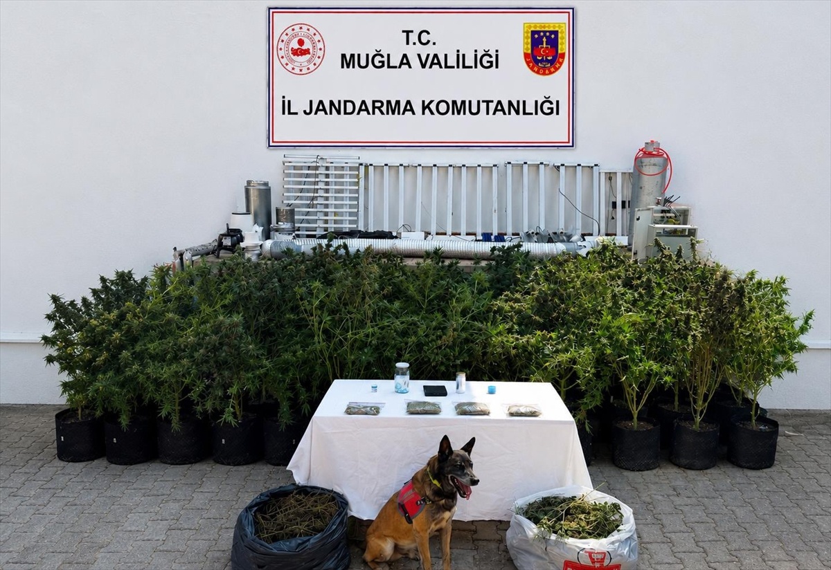 Bodrum\'da Uyuşturucu Operasyonu
