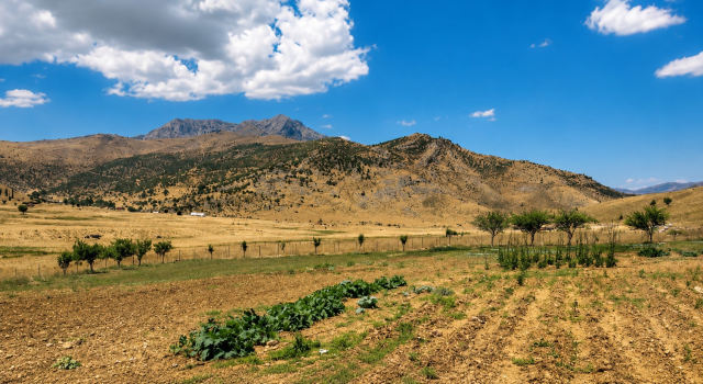 Bitlis’ten alınarak Siirt’e bağlanan köydeki vatandaşlar isyanda: Geri dönmek istiyoruz
