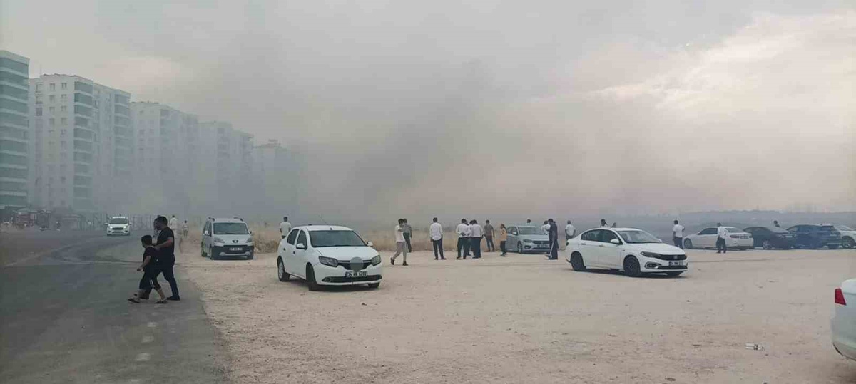 Diyarbakır\'da Anız Yangını Endişe Yarattı