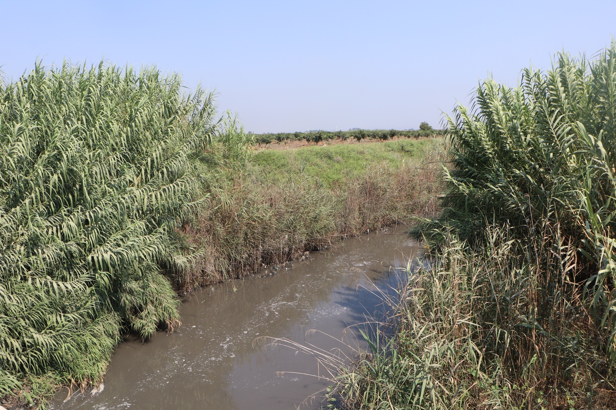 Mikroplastik Kirliliğiyle Mücadele Artıyor