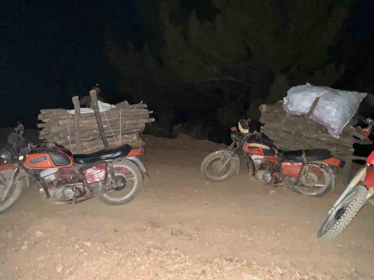 Hassa\'da Ormanda Usulsüz Kesim Yakalandı