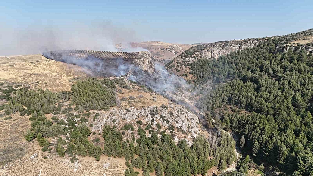 Hatay\'da Orman Yangını: Ekipler Mücadele Ediyor