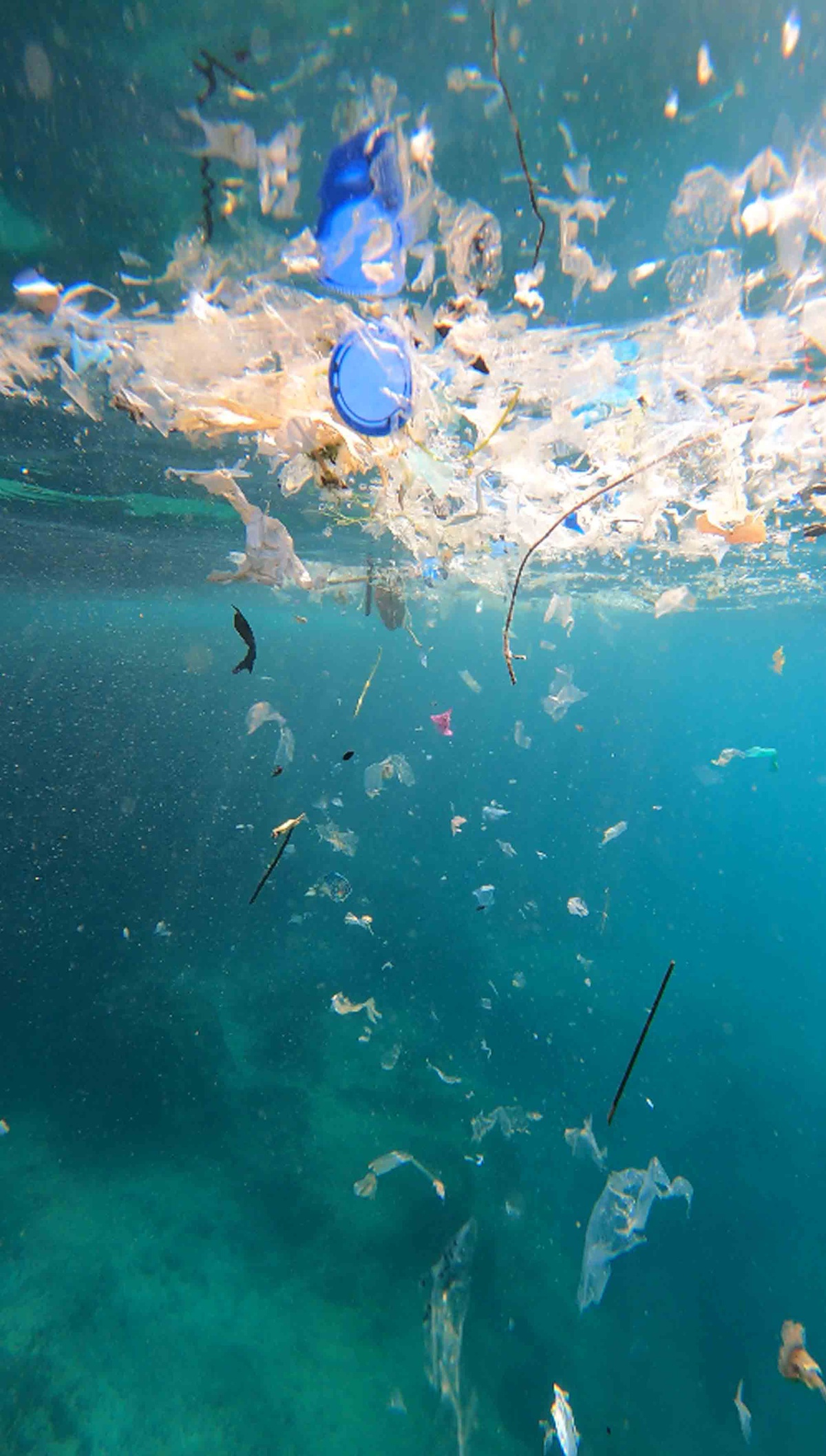 Akdeniz\'de Mikroplastik Kirliliği Tespit Edildi