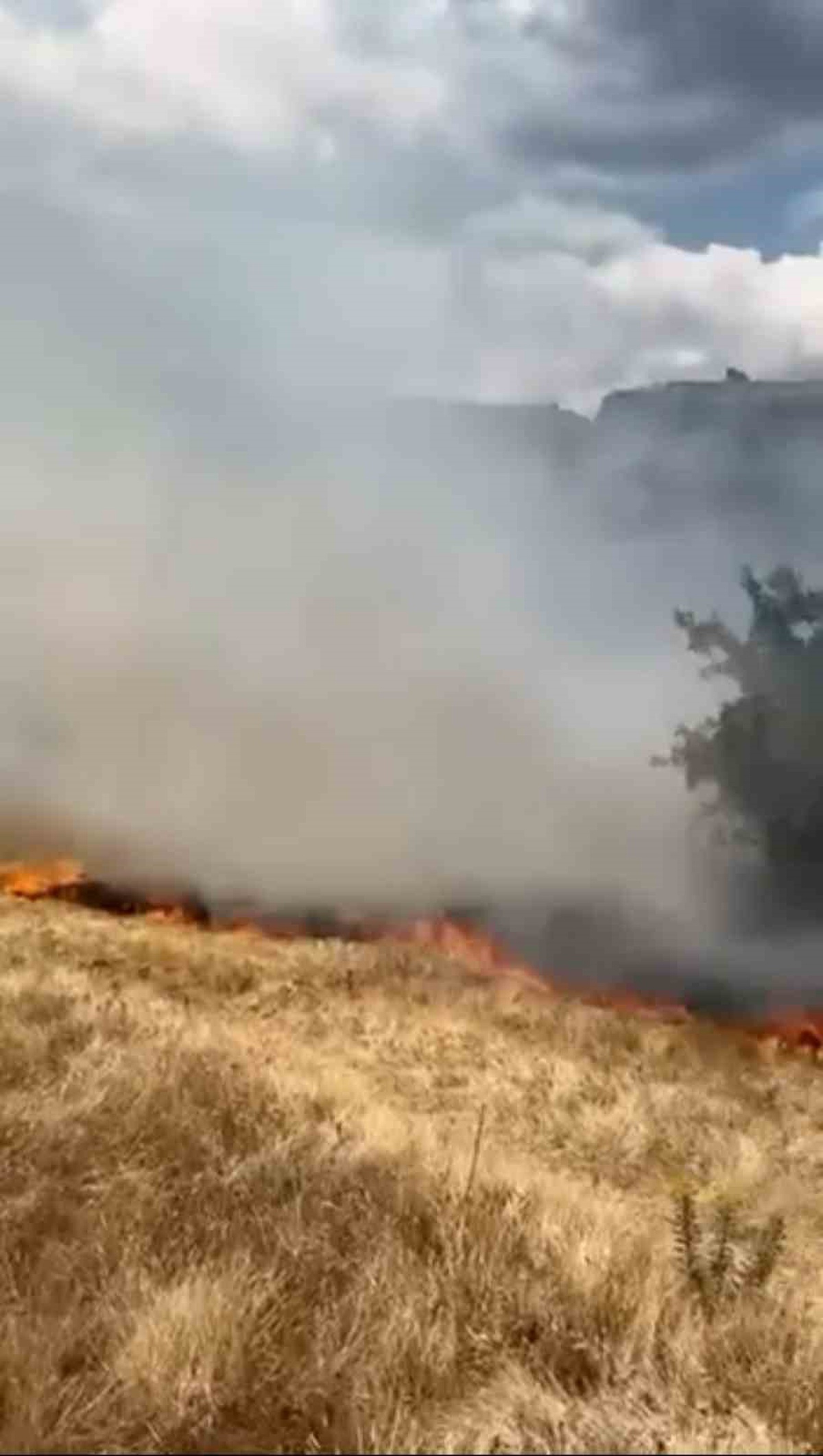 Safranbolu\'da Ot Yangını Kontrol Altına Alındı