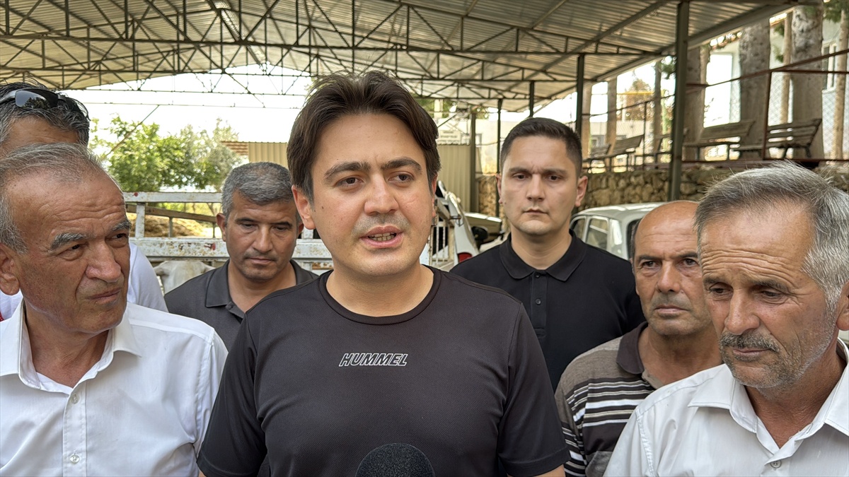 Seydikemer\'de Yangında Telef Olan Çiftçilere Hayvan Desteği