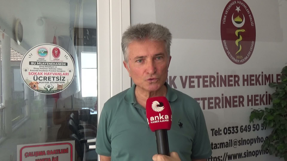 Sinop\'ta Sokak Hayvanlarına Ücretsiz Tedavi Projesi