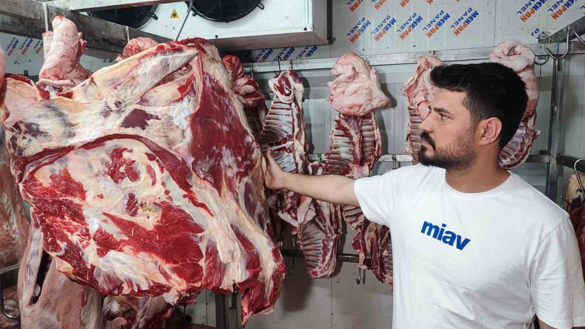 Adana\'da Kaçak Kesim Uyarısı