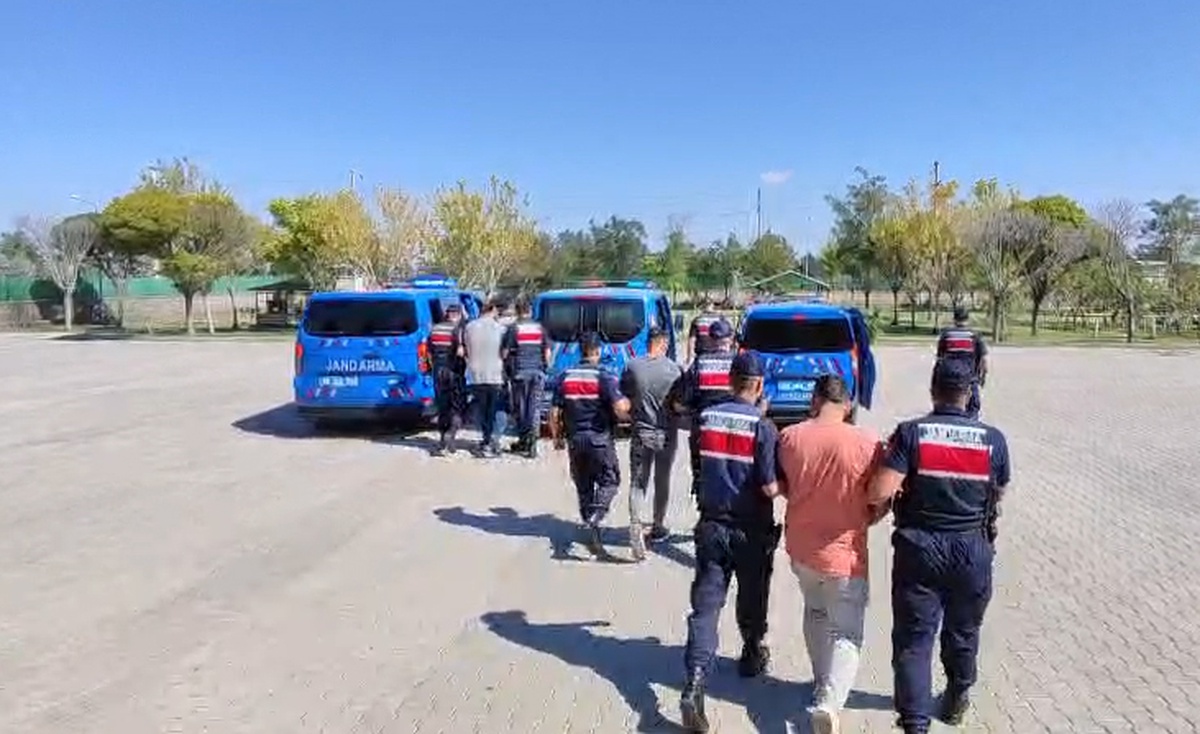 Köpek Dövüşü Operasyonu: 3 Kişi Yakalandı