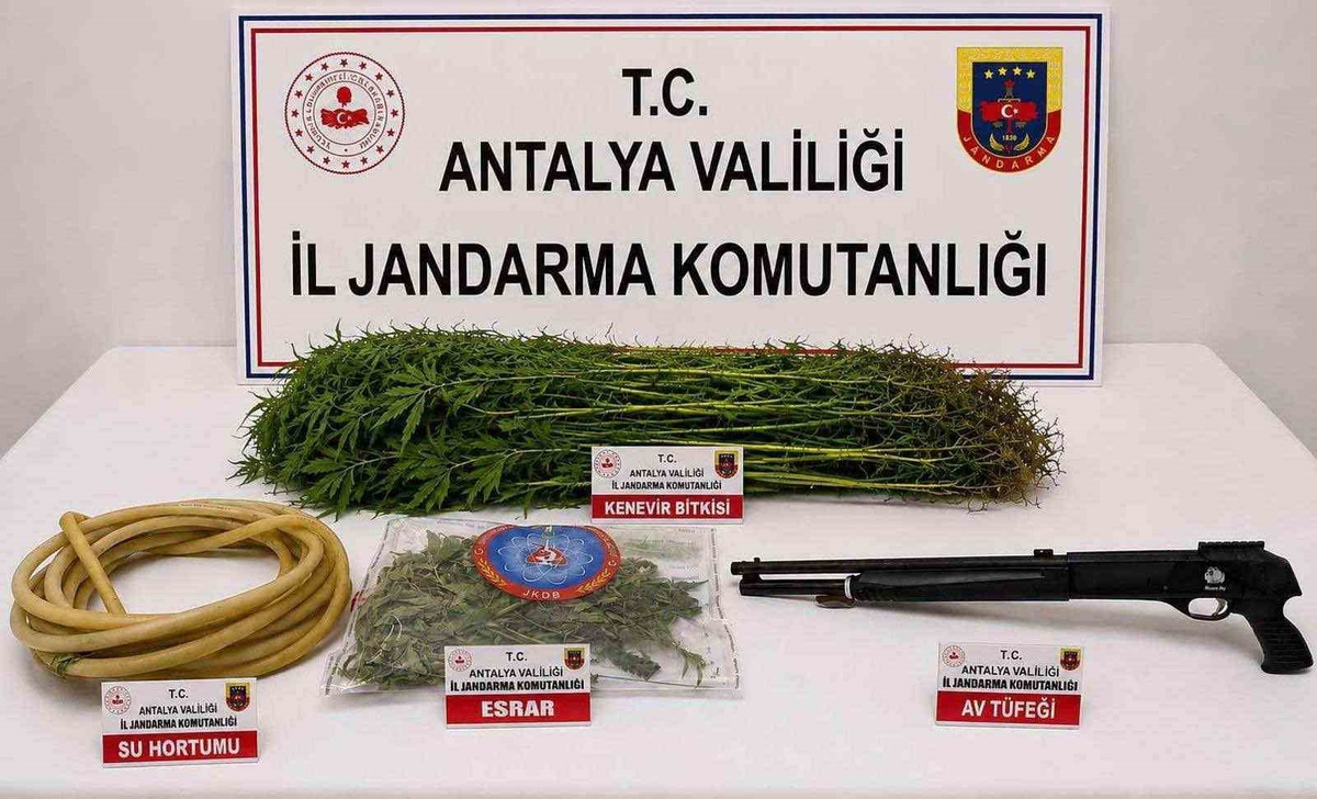 Alanya\'da Uyuşturucu Operasyonu: 290 Gram Esrar Ele Geçirildi