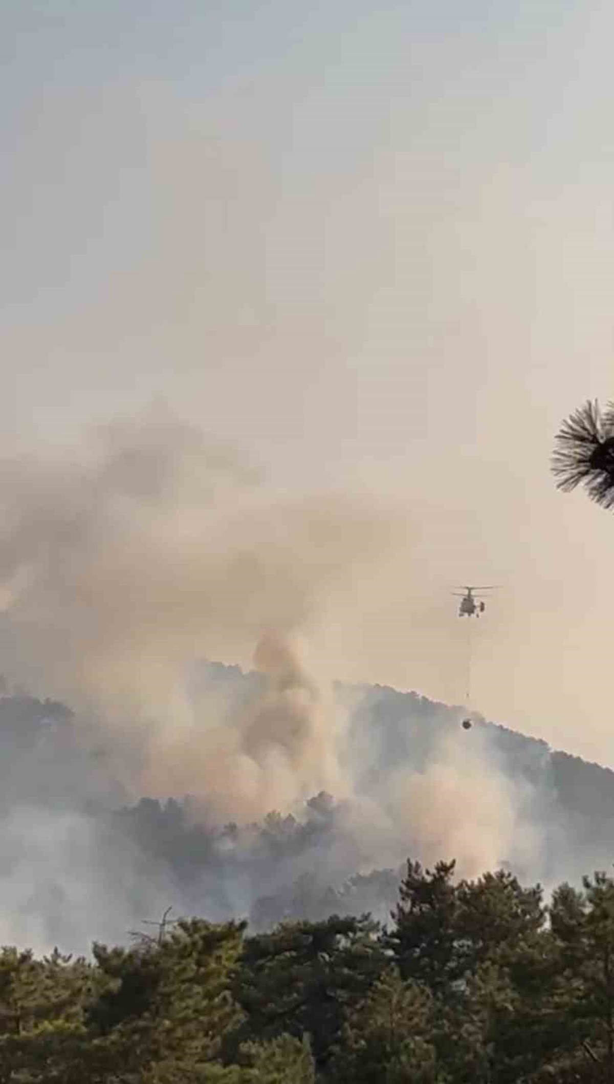 Bolu’daki orman yangını kontrol altına alındı
