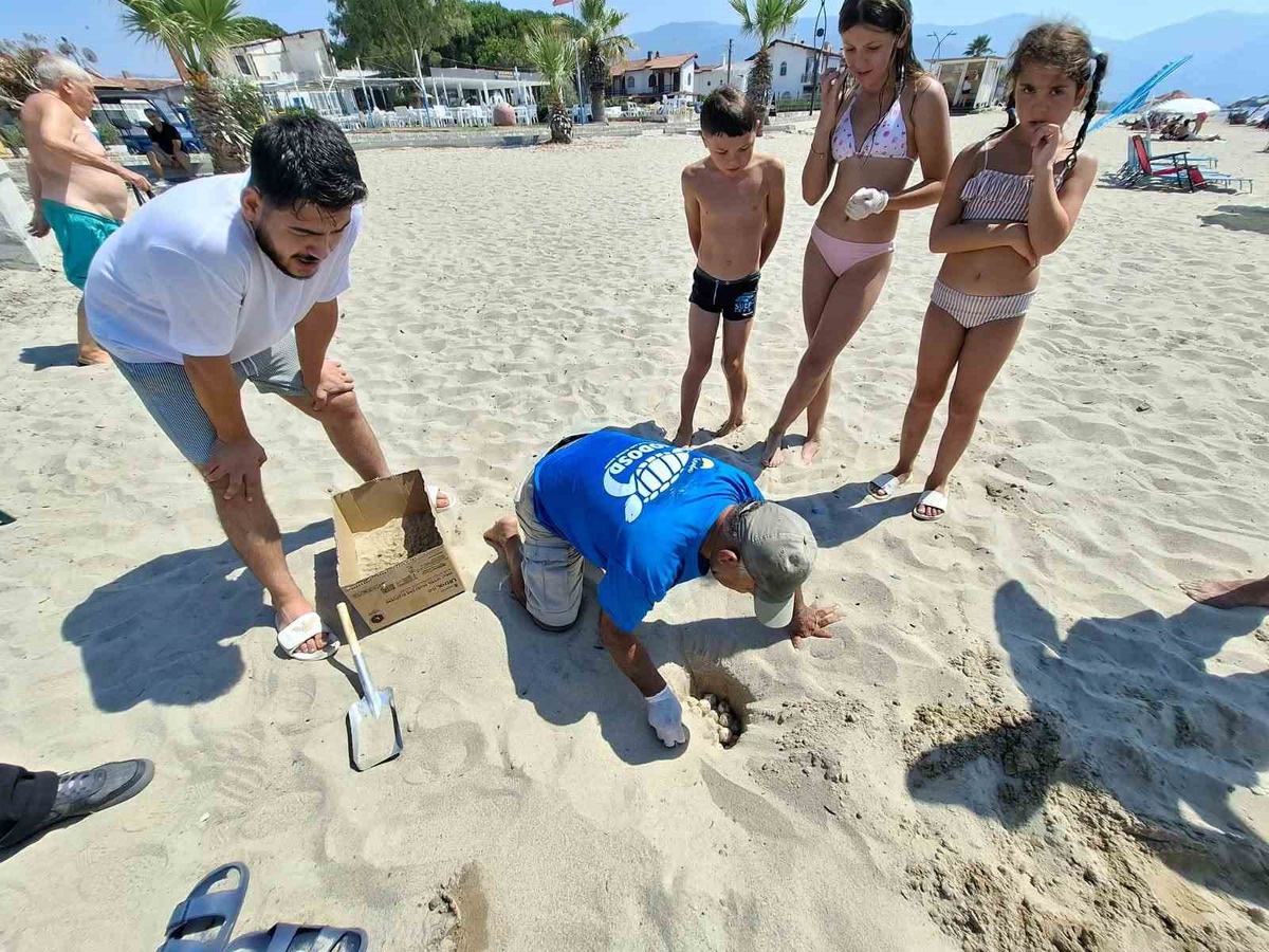 Kuşadası\'nda Caretta Yumurtaları Koruma Altına Alındı