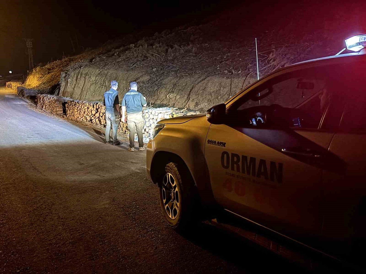 Ormanlar İçin Sürekli Denetim