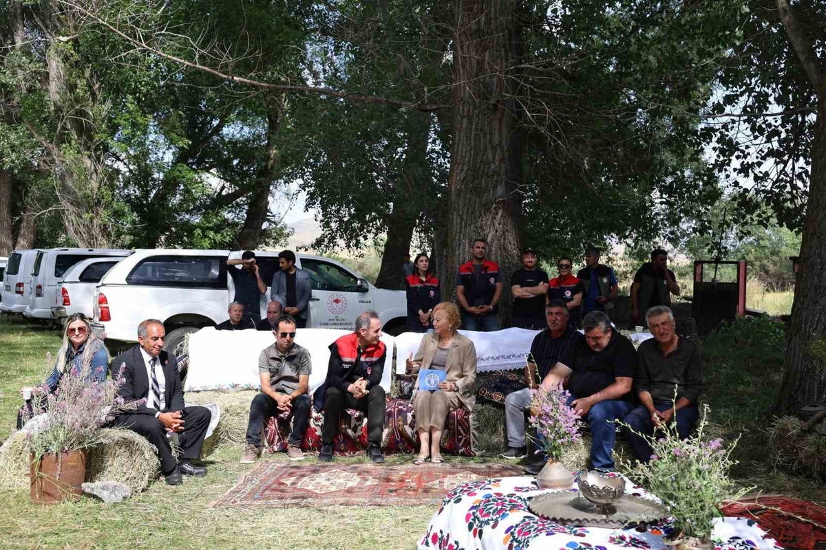 Kars\'ta Meralar ve Hayvancılık Etkinliği