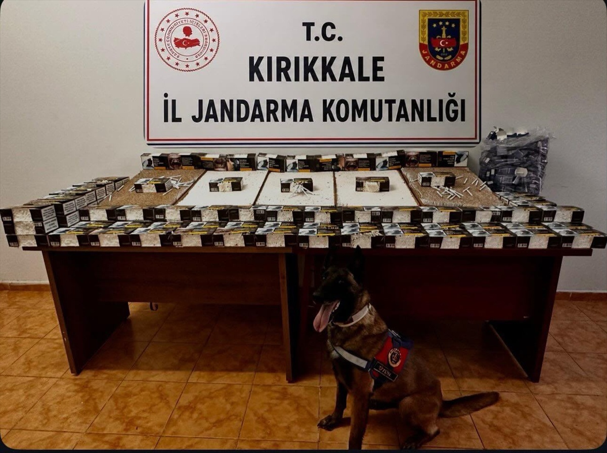 Kırıkkale\'de Tütün Kaçakçılığı: 44 Bin Makaron Ele Geçirildi