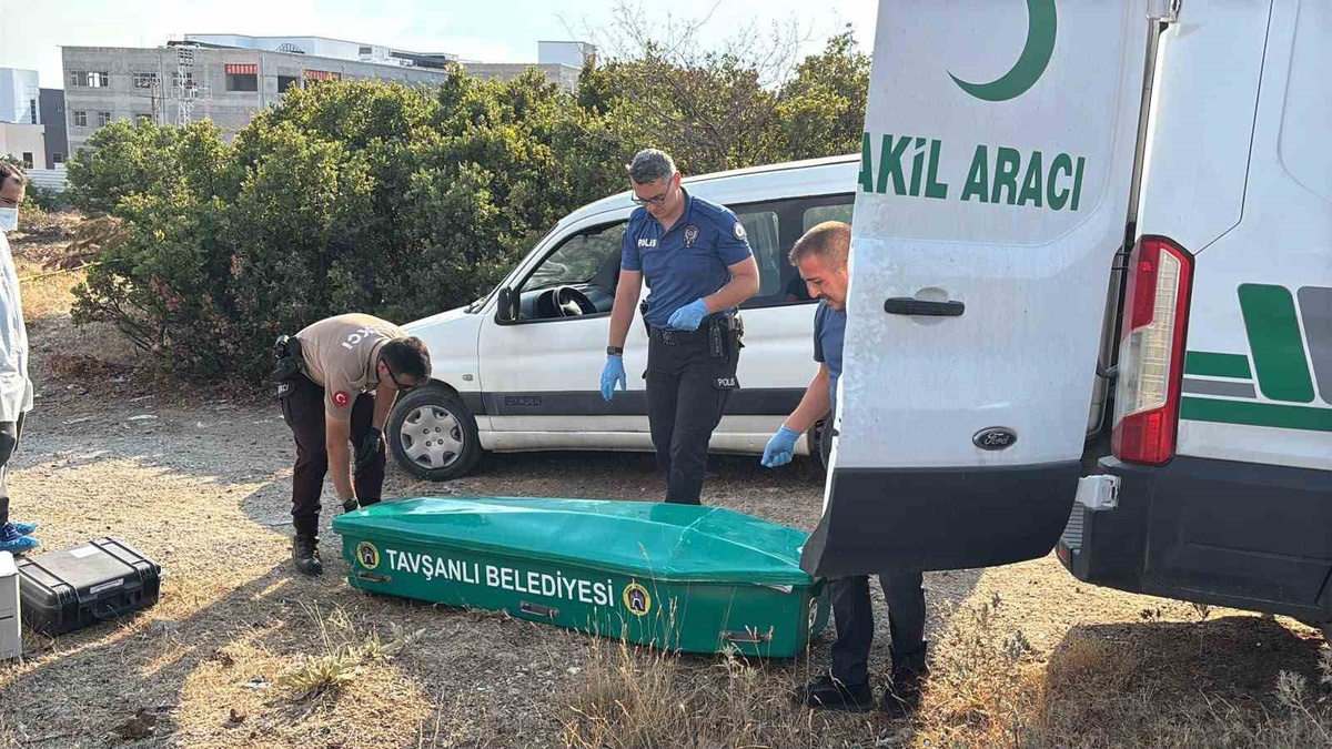 Tavşanlı\'da Yaşlı Adam Otomobilinin Yanında Ölü Bulundu
