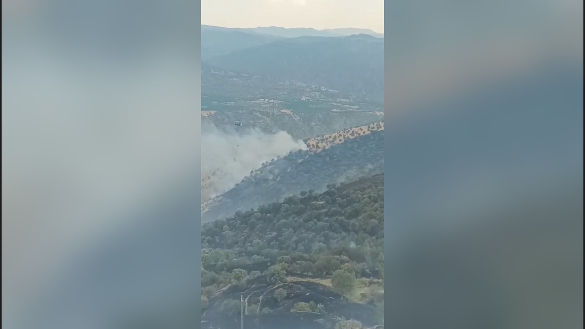 Pütürge\'de Orman Yangınına Müdahale