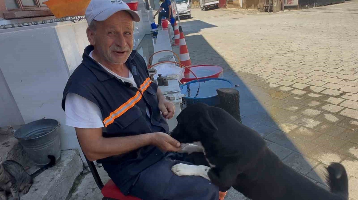 Yusuf Başaran ve Dayı\'nın Sıra Dışı Dostluğu