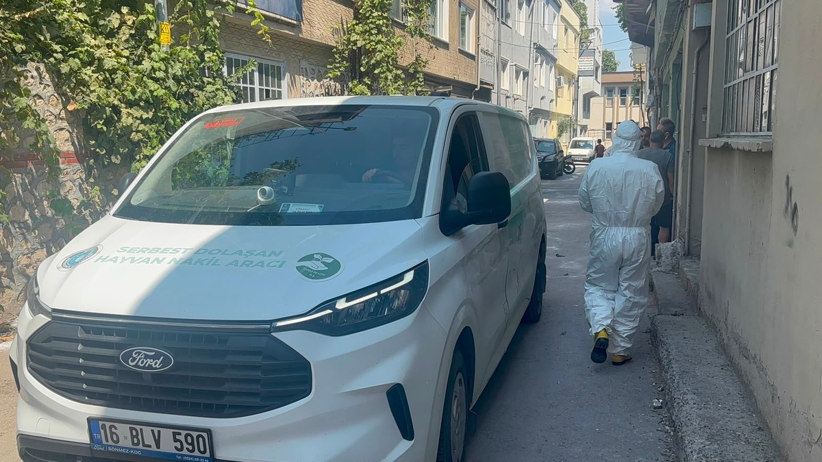 Bursa\'da Hayvanlar Sağlıksız Koşullardan Kurtarıldı
