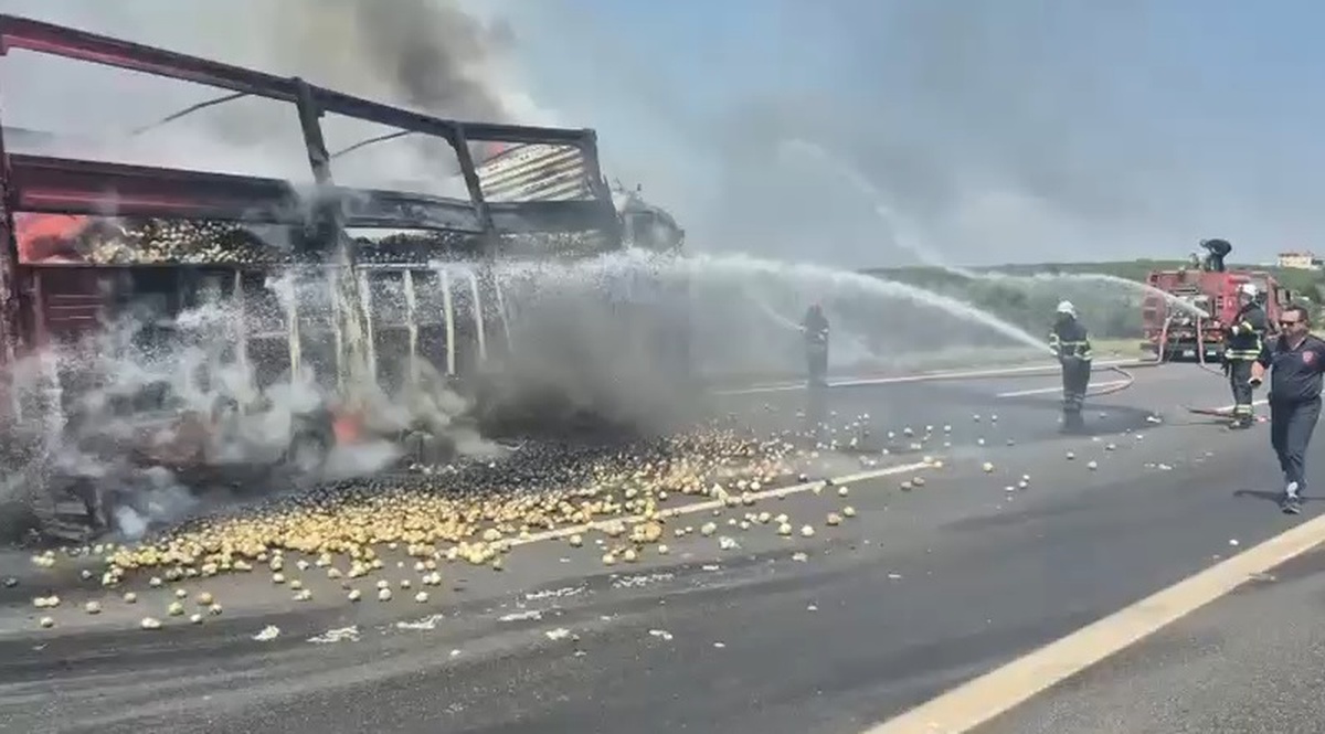 Adana\'da TIR Şoförü Kaza Sonucu Hayatını Kaybetti