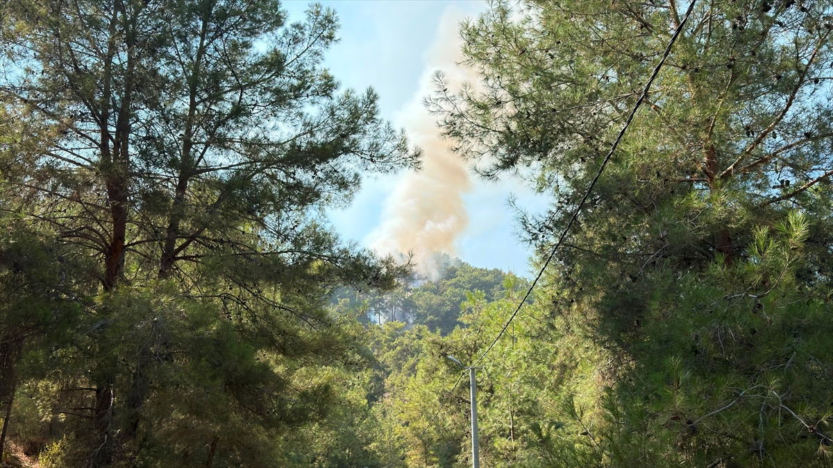 Alanya\'da Orman Yangını