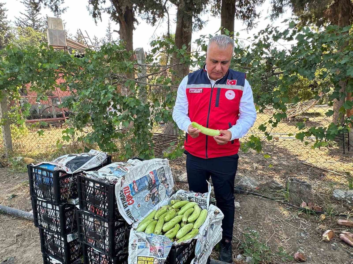 Hatay\'da Tarımsal Üretim Ziyareti