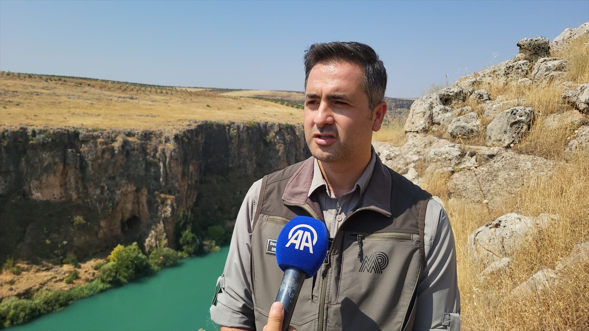 Çizgili Sırtlanlar İçin Dikkatler Arttı