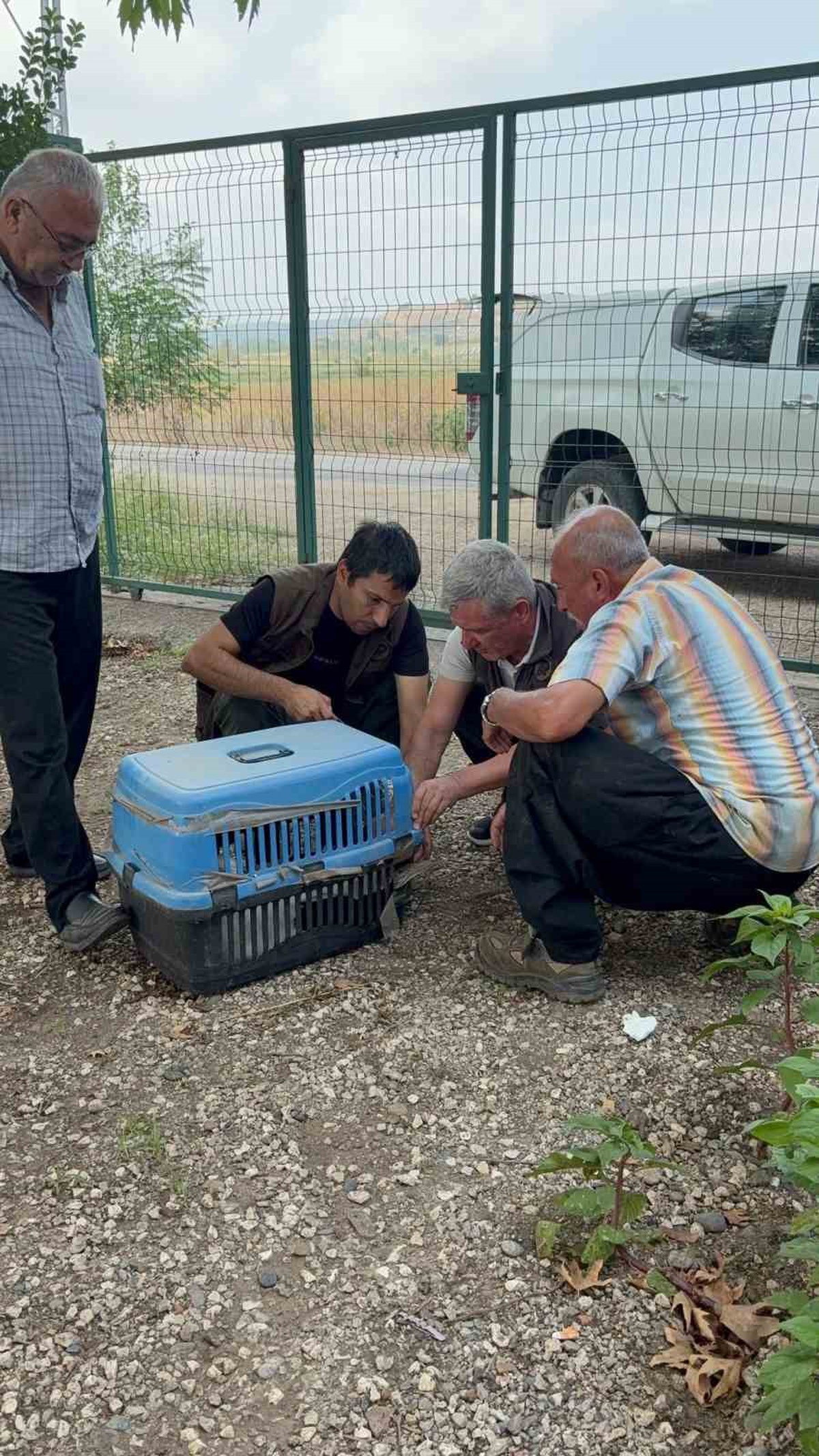 Yaralı Leyleğe Vatandaş Sahip Çıktı