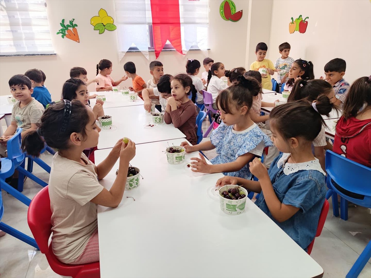 Gaziantep\'te 750 Çocuğa Meyve İkramı